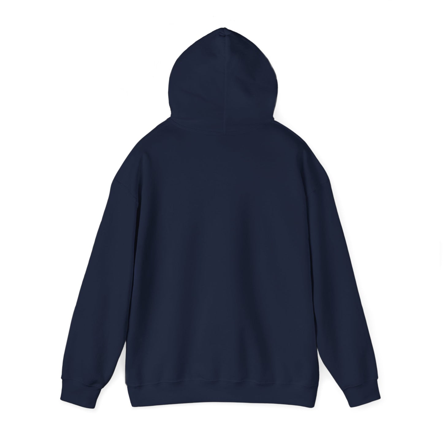 Seek The Kingdom Hoodie